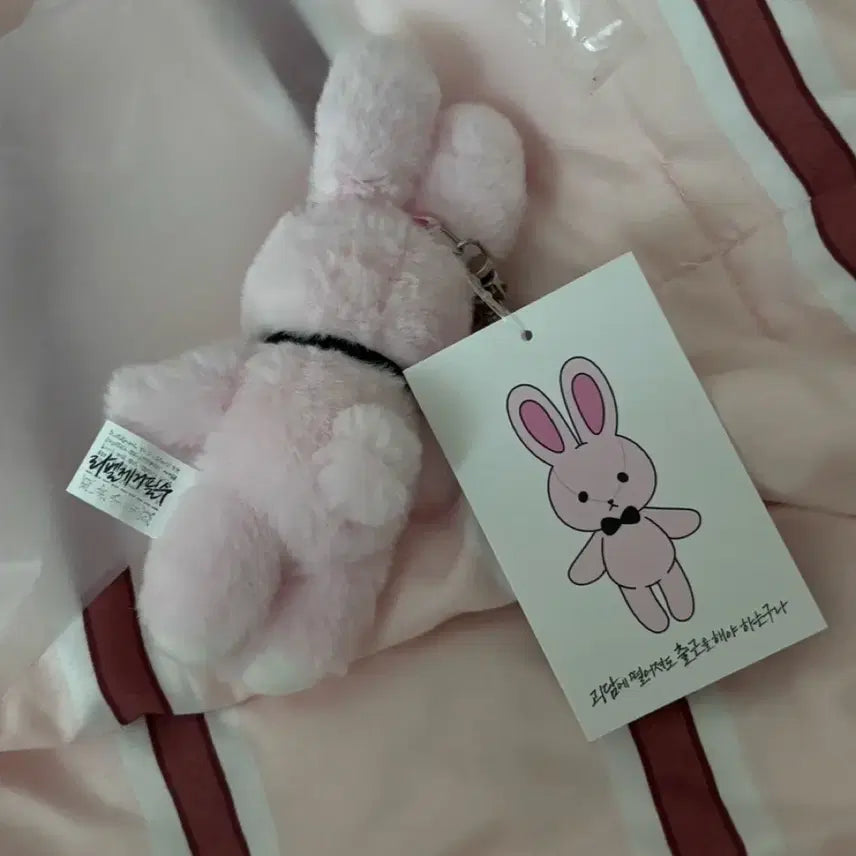 [BUNJANG] GyeDamChulGeun Brown Plush Doll / 괴담출근 괴출 브라운 팝업 착한친구 착친 인형 솜든몸