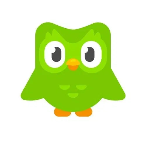 [BUNJANG] Duolingo Majirushi Eraser Set / 듀오링고 메지루시