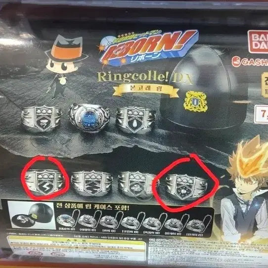 [BUNJANG] Reborn! Ring DX Gacha (Lightning, Sun) Bundle Set / (일괄)가정교사 히트맨 리본 반지Dx가챠, 번개,태양