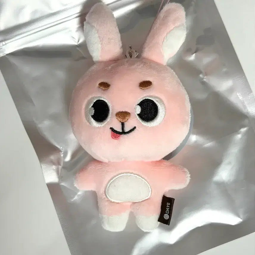 [BUNJANG] Day6 Wonpil Unfiltered Secret Random Keyring / 데이식스 원필 시크릿키링 메롱필