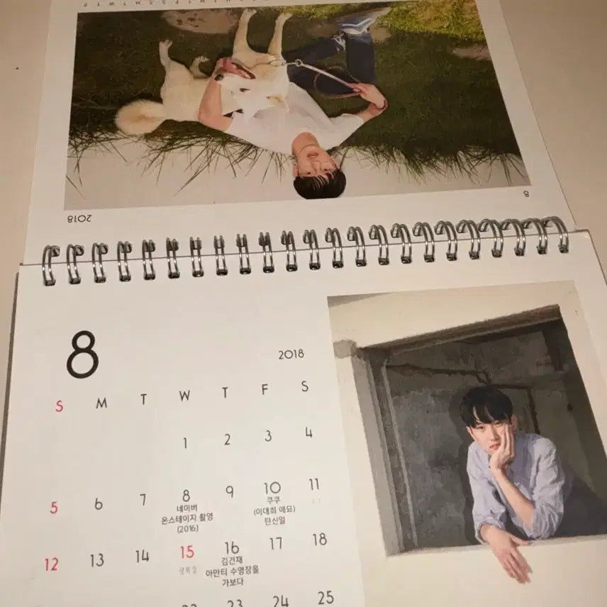 [BUNJANG] Silica Gel Calendar / 실리카겔 달력 팝니다 (현 미판매)