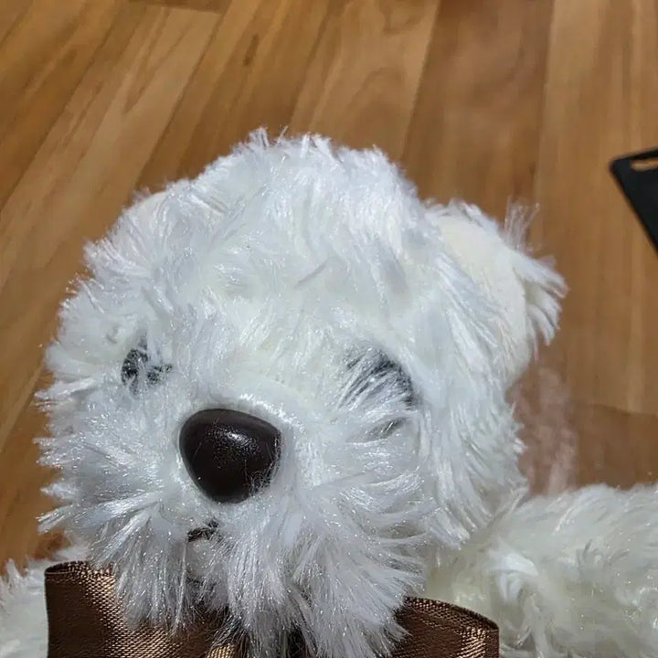 [BUNJANG] White Puppy Plush Doll with Brown Ribbon / 갈색 리본 흰색 강아지 봉제인형
