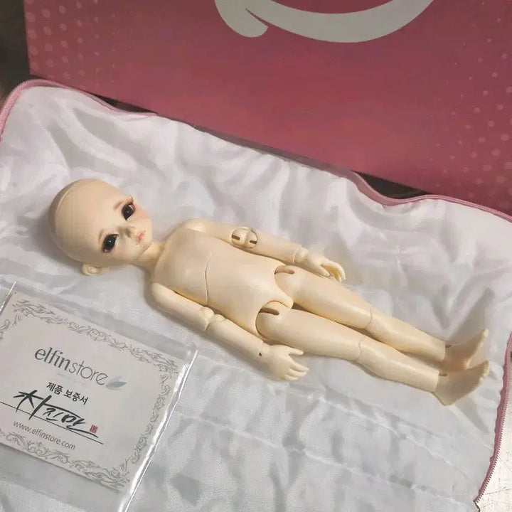 [BUNJANG] Elfin Store Ivy Min Ball-Jointed Doll / usd 구체관절인형 판매(엘핀스토어 아이비 민)