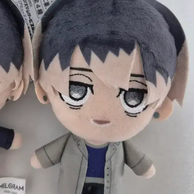 [BUNJANG] Milgram Mikoto Nuigurumi Plush / 밀그램 미코토 누이 인형 2심 심상 팝니다