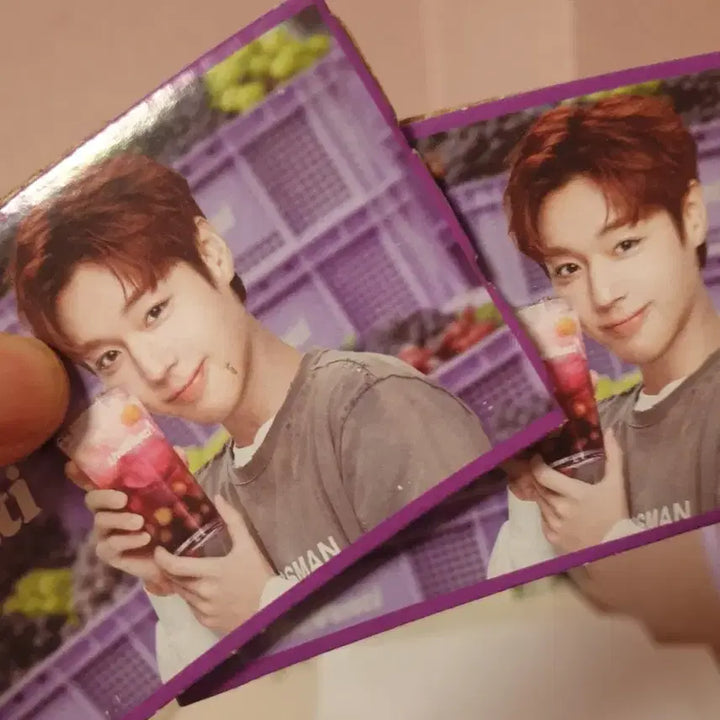 [BUNJANG] Park Ji Hoon The Venti Photocard Bundle Set / 박지훈 더벤티포카