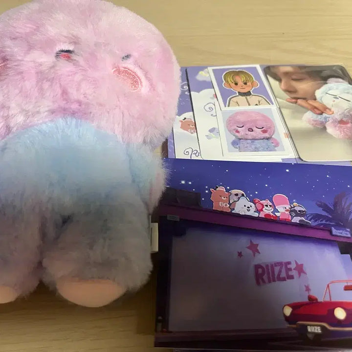 [BUNJANG] RIIZE Eunseok Songyongi Voice Keyring / 라이즈 은석 송용돌이 보이스키링