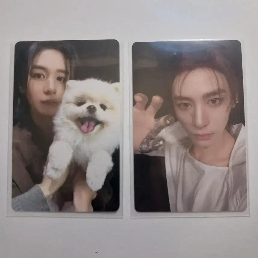 [BUNJANG] LEEHAN Bundle Set Photocard / 이한 포카 일괄 판매