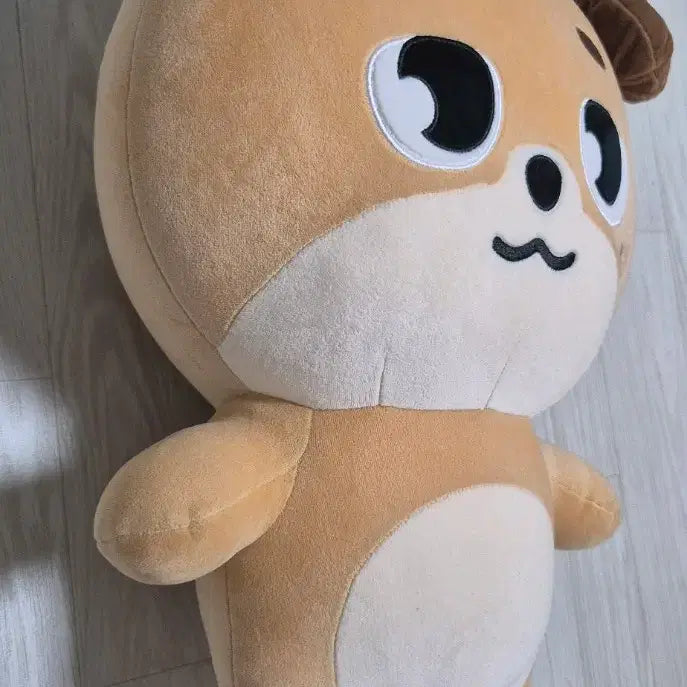 [BUNJANG] Day6 Young K Denimals Don Doll / 데이식스 자이언트 데니멀즈 돈 인형 도운