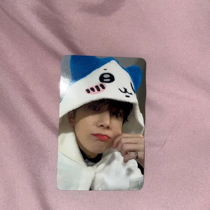 [BUNJANG] Younghoon Hachiwara Photocard / 영훈 하치와레 포카 팔아요 하자 없어요