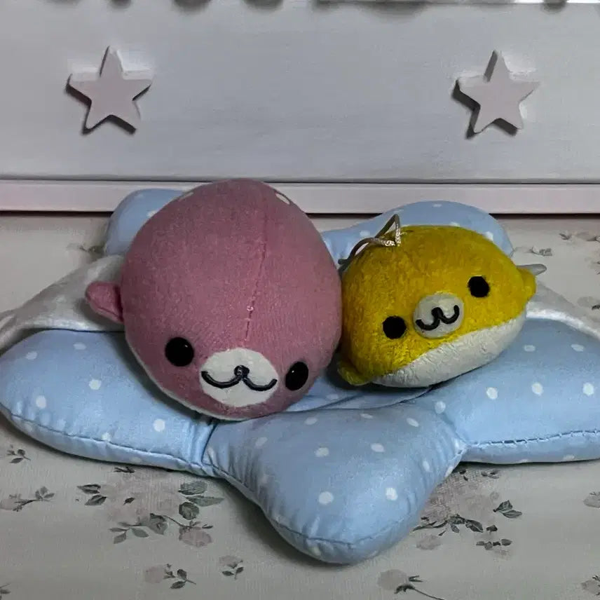 [BUNJANG] Mamegoma 2 Types Bundle Set / 마메고마 2종 일괄