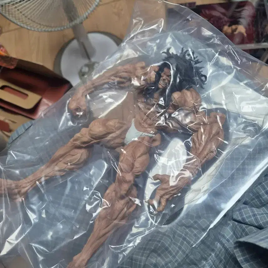 [BUNJANG] Baki Hanma Figure Display Set / 한마바키 피규어 장식장 세트 팝니다.