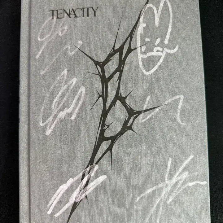 [BUNJANG] SF9 TENACITY Autographed Album / sf9 싸인앨범 비매입니다