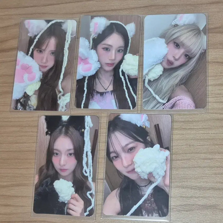 [BUNJANG] fromis_9 Photocard Set / 프로미스나인 포카 세트