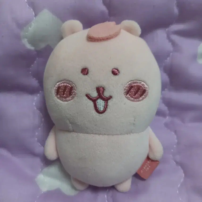 [BUNJANG] Cherry Blossom Joke Bear Plush / 벚꽃 농담곰 인형