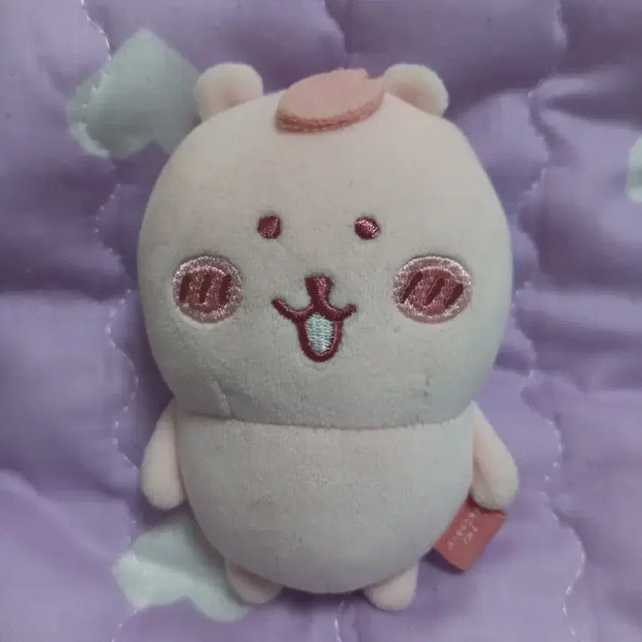 [BUNJANG] Cherry Blossom Joke Bear Plush / 벚꽃 농담곰 인형