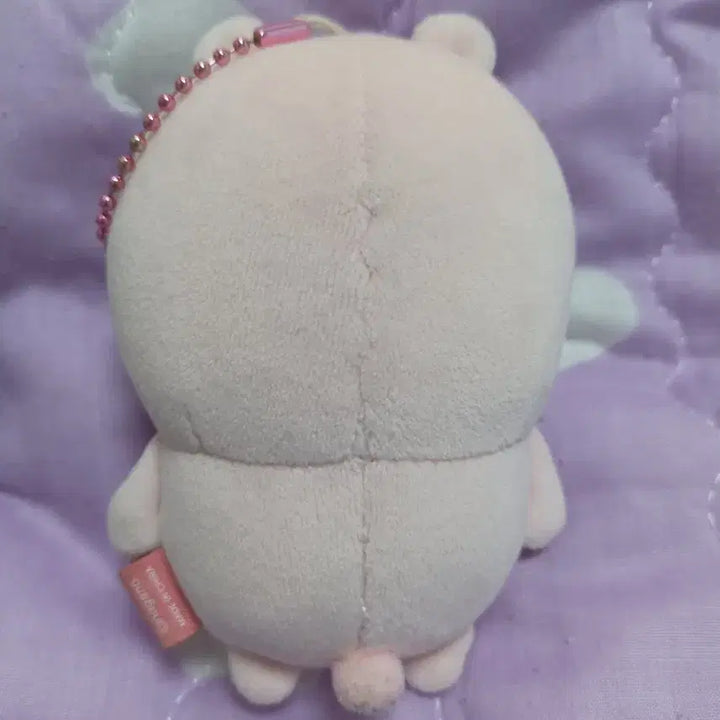 [BUNJANG] Cherry Blossom Joke Bear Plush / 벚꽃 농담곰 인형