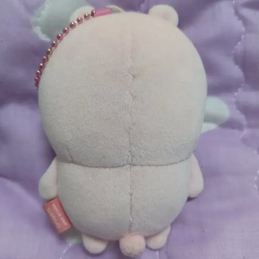 [BUNJANG] Cherry Blossom Joke Bear Plush / 벚꽃 농담곰 인형