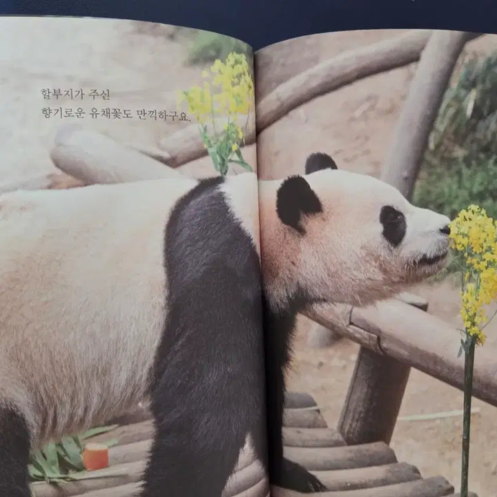 [BUNJANG] Fu Bao Diary + Lenticular Photocard / 기억해 푸바오 다이어리+렌티큘러 포카