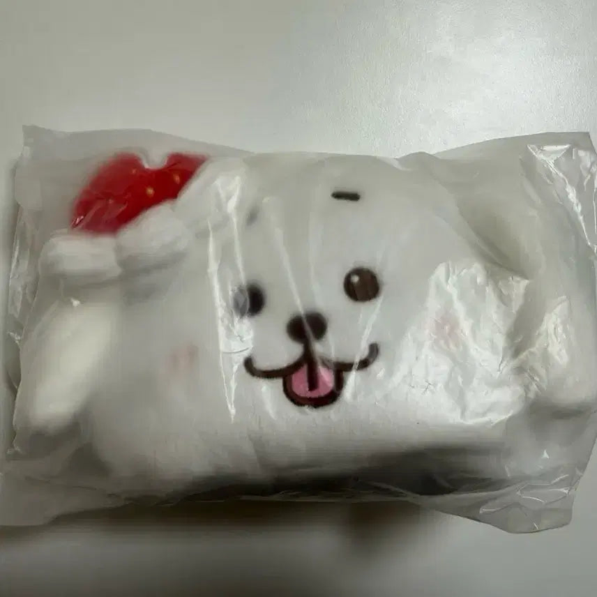 [BUNJANG] NCT WISH Jaehee Daeyoung Wishberry Dangtreever Pouch / 엔시티위시 재희 대영 위시베리 댕트리버 파우치