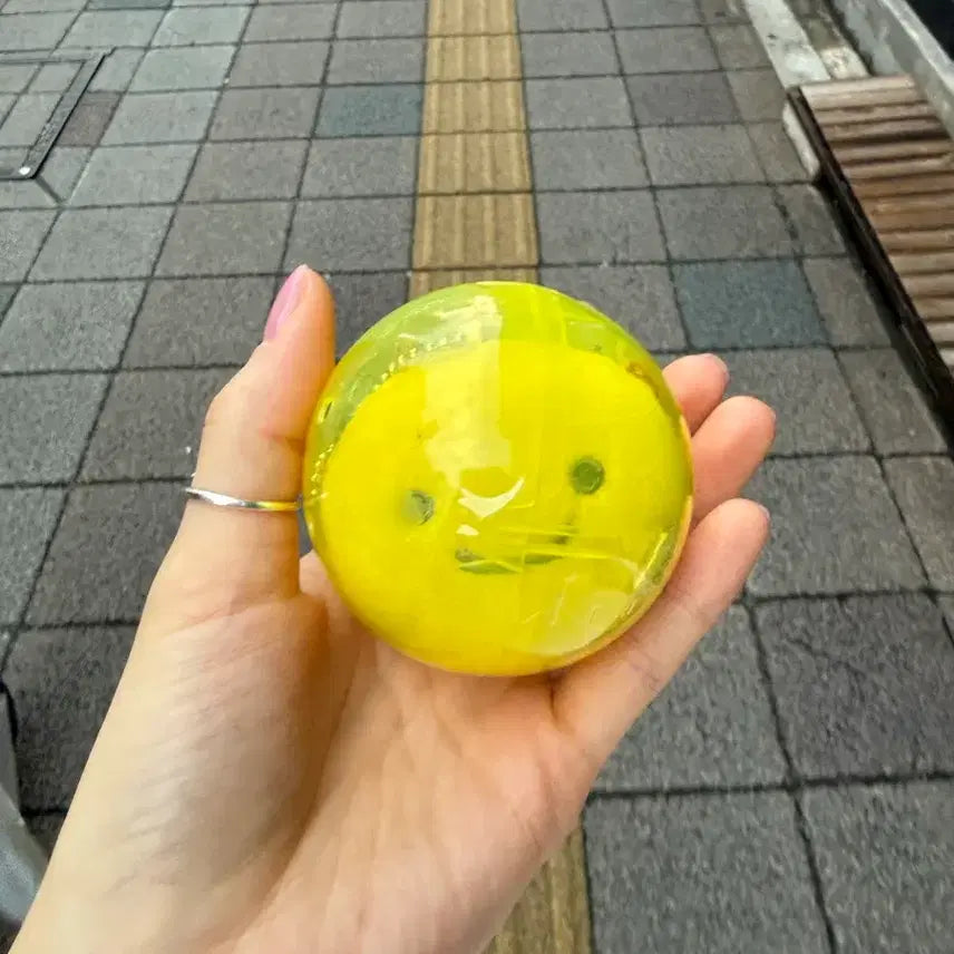 [BUNJANG] Tamagotchi Maruchi Gacha / 다마고치 마루치 가챠