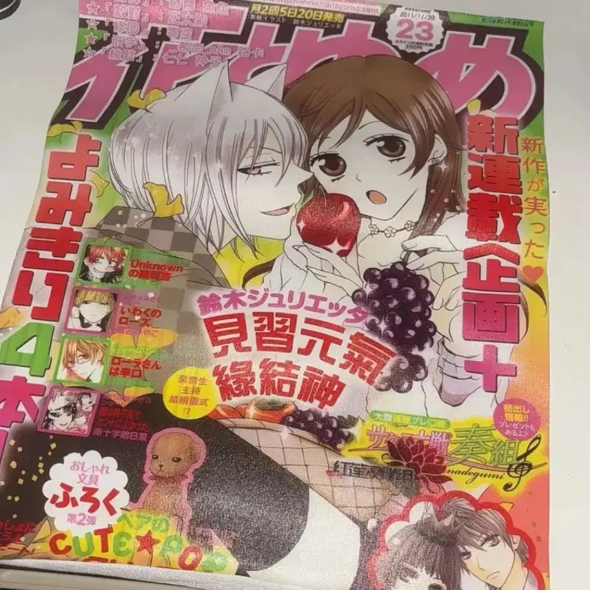 [BUNJANG] Kamisama Kiss Poster / 오늘부터 신령님 포스터+덤