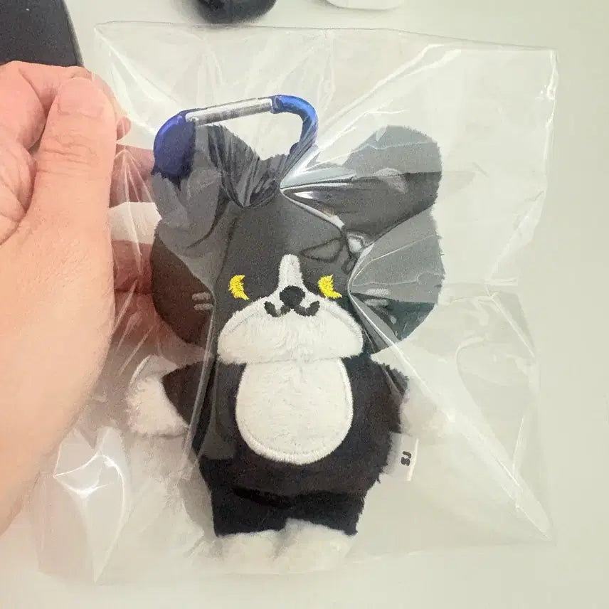[BUNJANG] Super Junior Yesung SS10 Japan Goods Cat Plush / 슈퍼주니어 예성 SS10 일본 굿즈 고양이