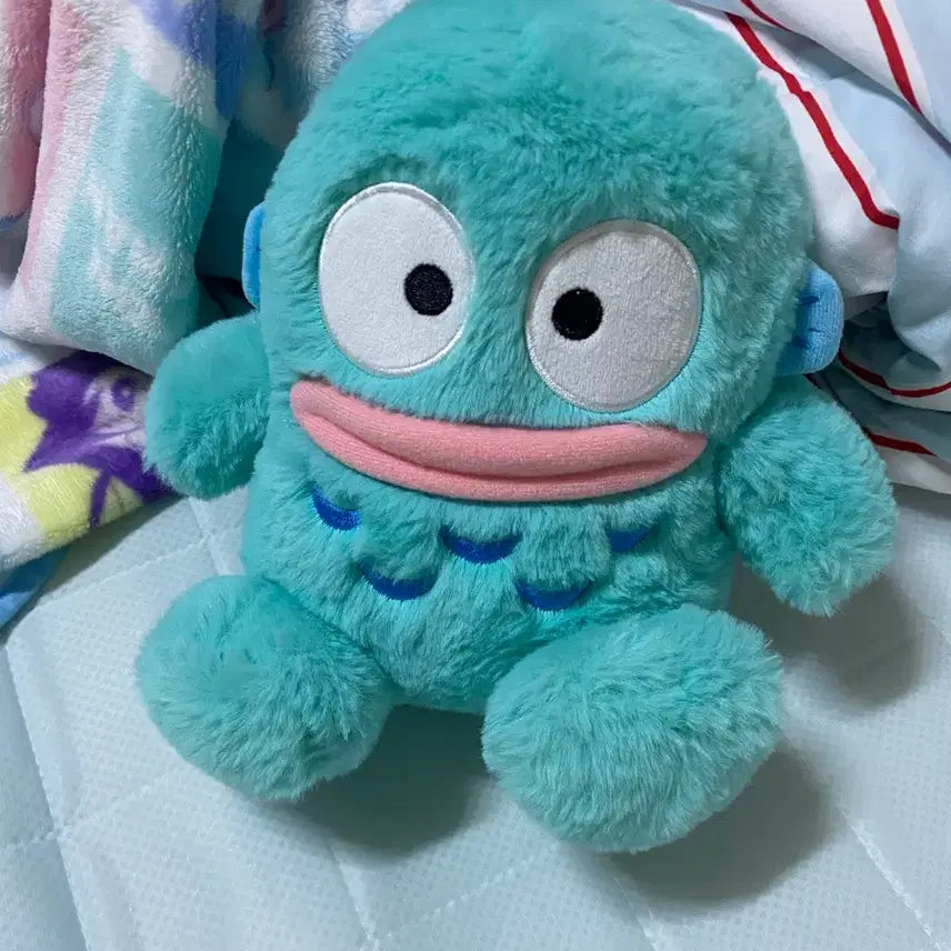 [BUNJANG] Han Gyedong Plush Doll / 한교동 인형