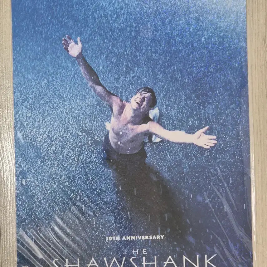 [BUNJANG] The Shawshank Redemption 30th Anniversary Commemorative Poster / 쇼생크탈출 30주년 기념 포스터