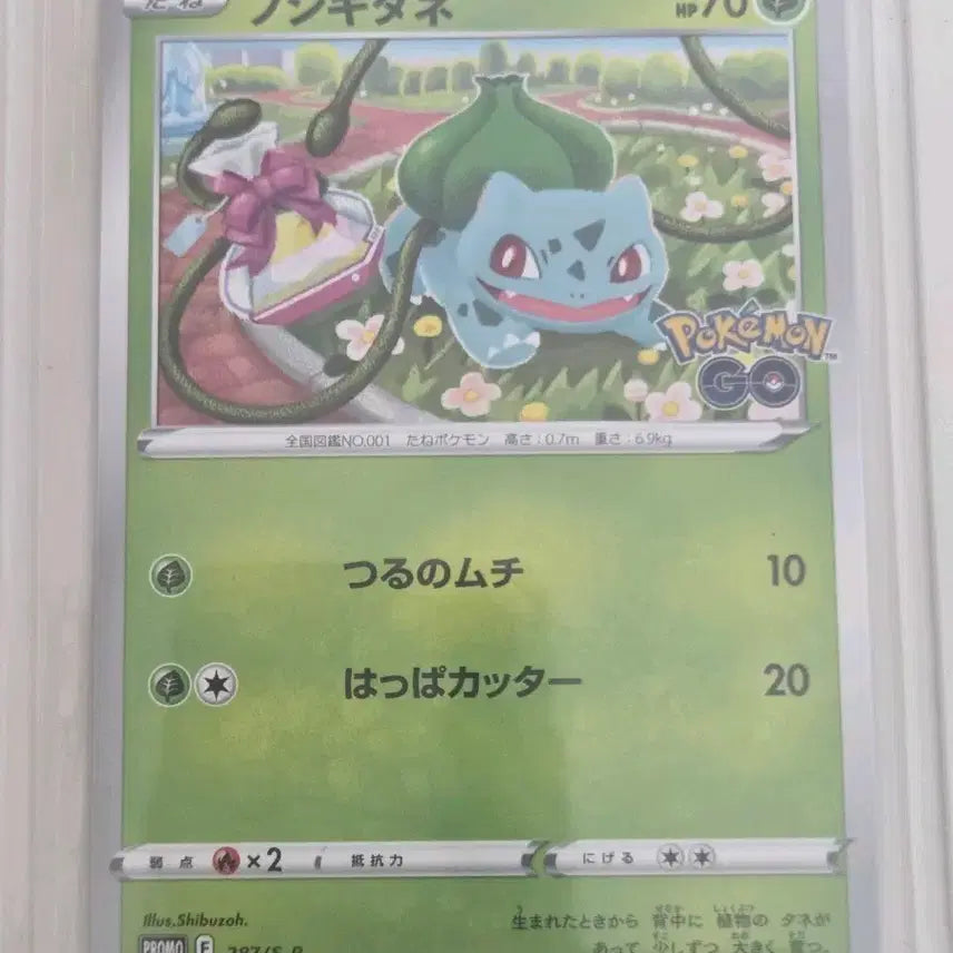 [BUNJANG] Bulbasaur Promo Card (Japanese) / 이상해씨 프로모 카드 [일판]