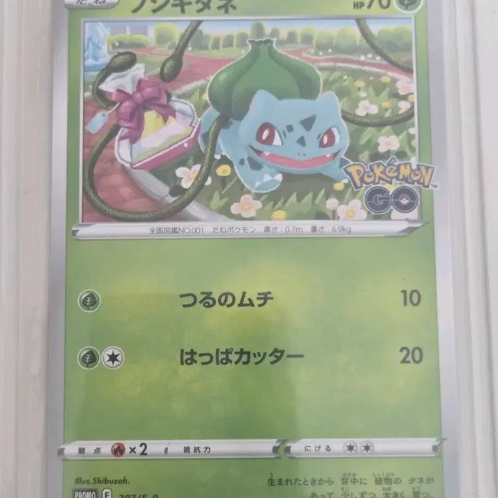 [BUNJANG] Bulbasaur Promo Card (Japanese) / 이상해씨 프로모 카드 [일판]