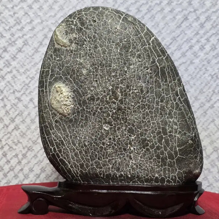 [BUNJANG] Pohang Turtle Shell Pattern Stone (Gu-gab-seok) - Unique Natural Specimen / 포항 / 구갑석 / 월경