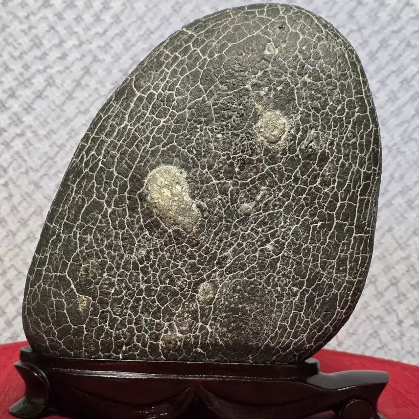 [BUNJANG] Pohang Turtle Shell Pattern Stone (Gu-gab-seok) - Unique Natural Specimen / 포항 / 구갑석 / 월경
