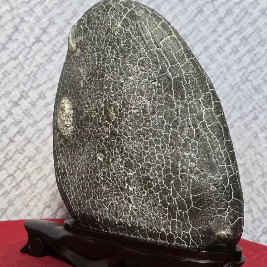 [BUNJANG] Pohang Turtle Shell Pattern Stone (Gu-gab-seok) - Unique Natural Specimen / 포항 / 구갑석 / 월경
