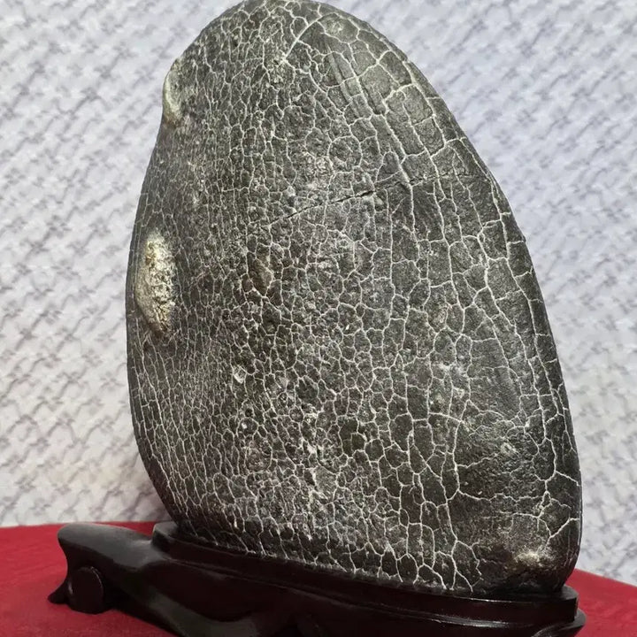 [BUNJANG] Pohang Turtle Shell Pattern Stone (Gu-gab-seok) - Unique Natural Specimen / 포항 / 구갑석 / 월경