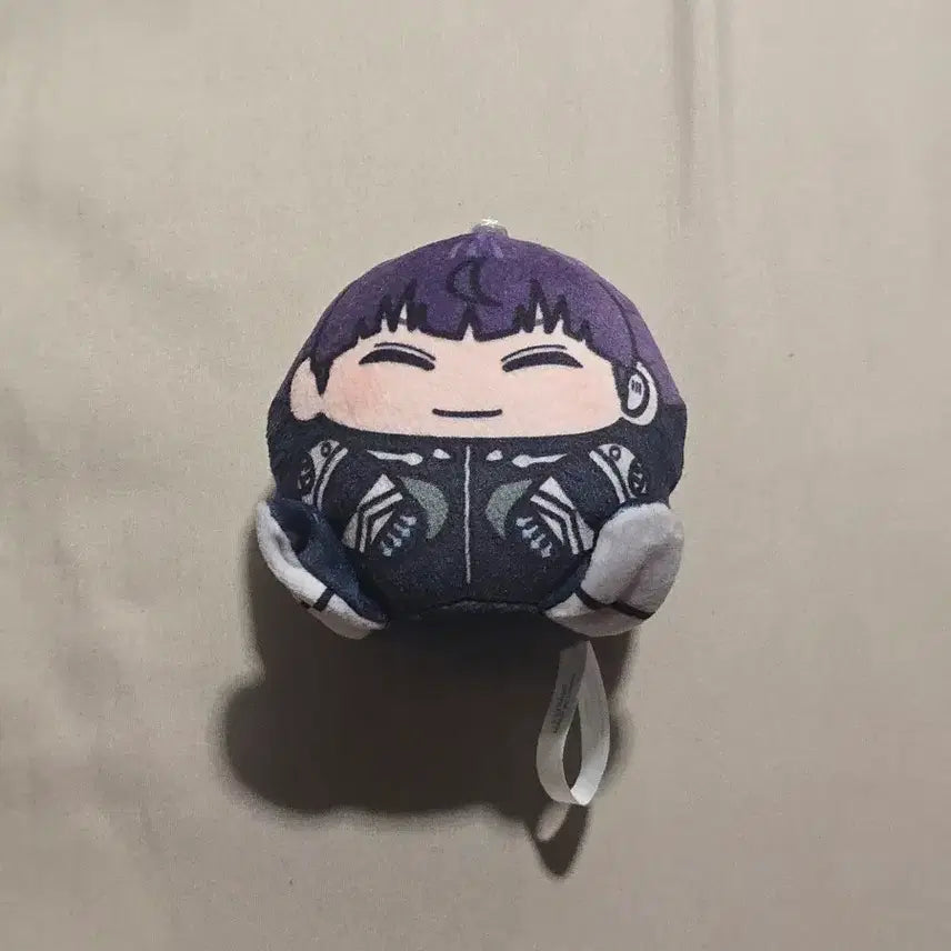 [BUNJANG] Hoshina Chocomaru Chocomaru / (네고가능) 괴8 호시나 쵸코마루 초코마루