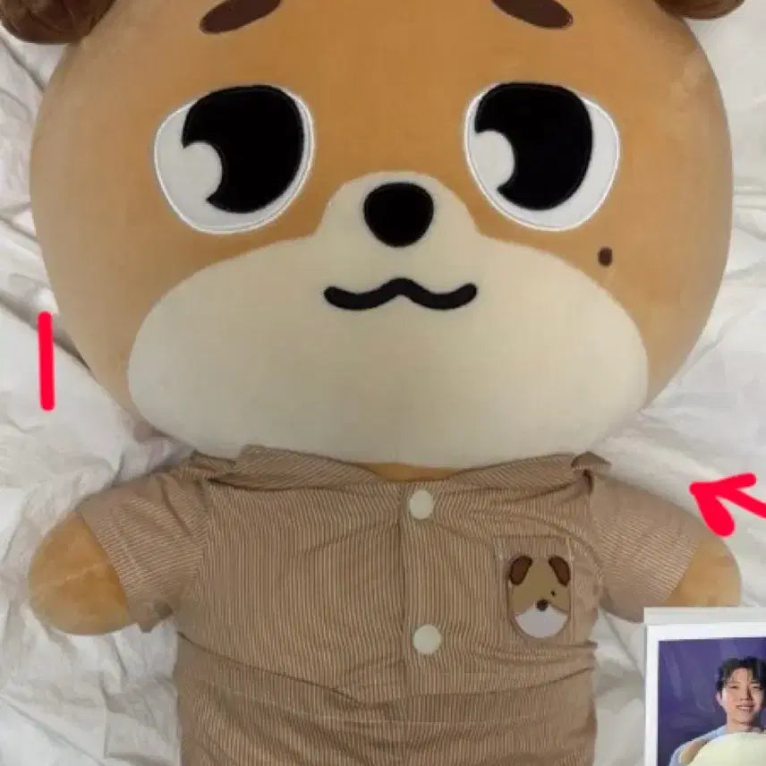 [BUNJANG] DAY6 Giant Denims DONY Plush Pajamas Bundle Set / 데이식스 자멀 옷포함 폴라포함 자이언트데니멀즈 돈