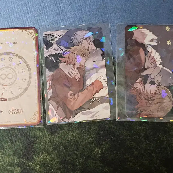 [BUNJANG] Honkai: Star Rail Phi Day My Day Photocard Bundle Set / 붕괴 스타레일 내뽑대 파이데이 마이데이 포카 일괄