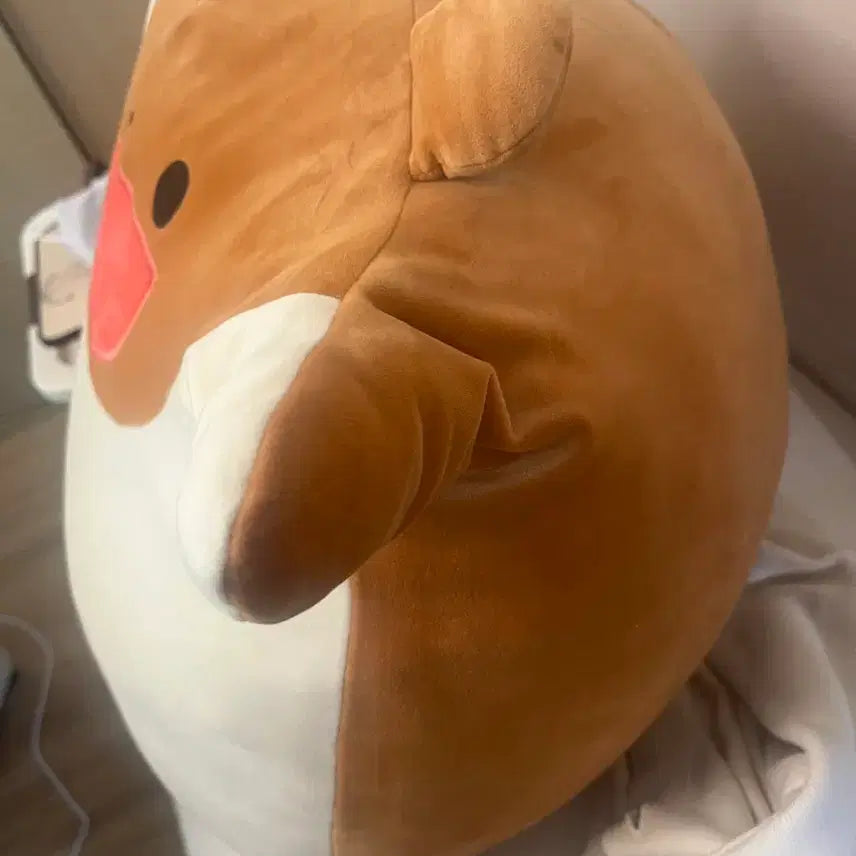 [BUNJANG] Big Hugging Plush Toy / 안아줘요 인형 대형