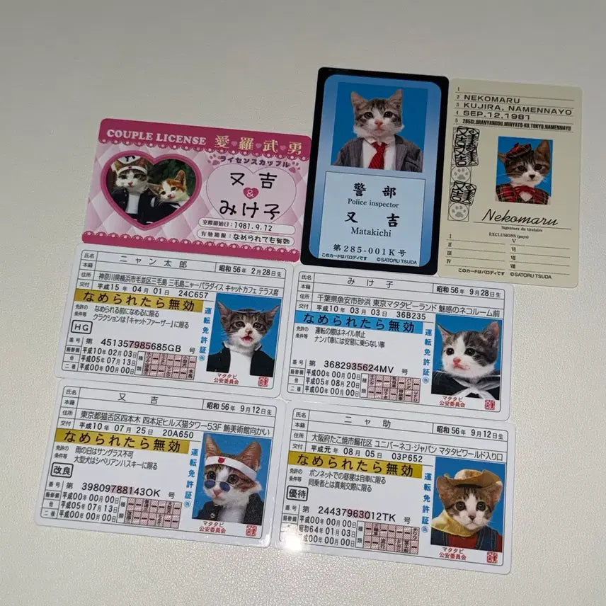 [BUNJANG] Nameneko Bōsōzoku Cat Card Student ID / 나메네코 폭주족 고양이 카드