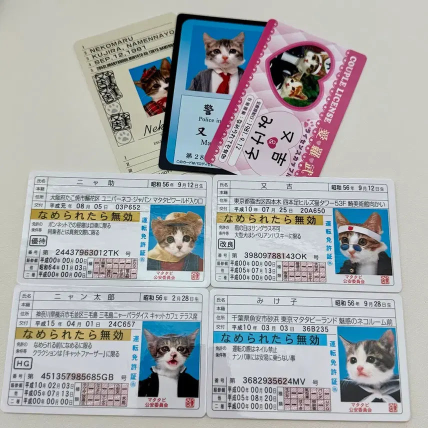 [BUNJANG] Nameneko Bōsōzoku Cat Card Student ID / 나메네코 폭주족 고양이 카드