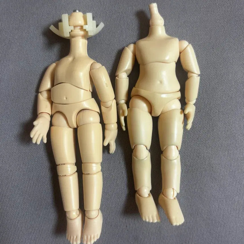 [BUNJANG] Obitsu Body Bundle Set / 오비츠 일괄