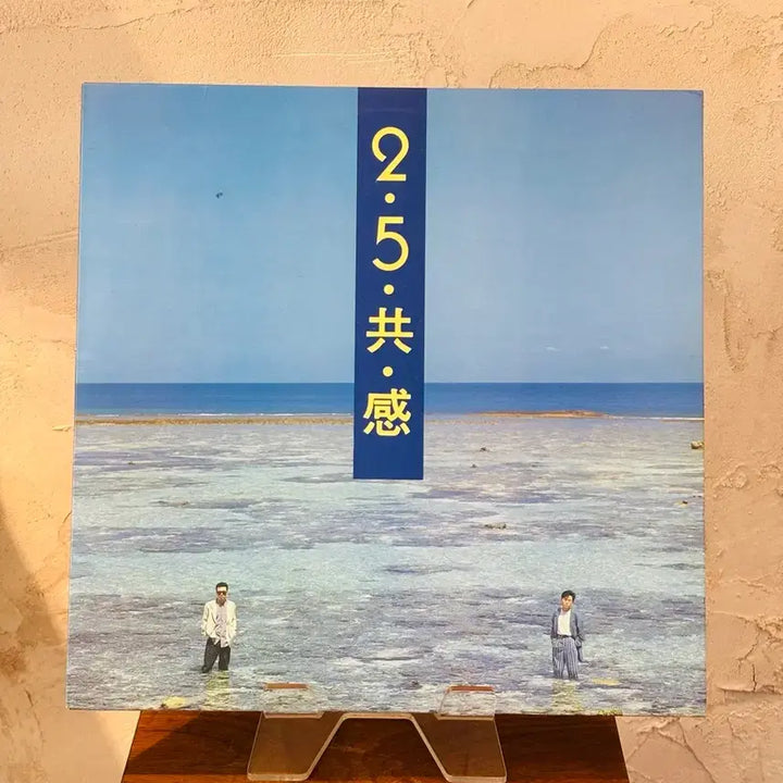 [BUNJANG] Lee Gong Gam LP / 이오공감 Lp