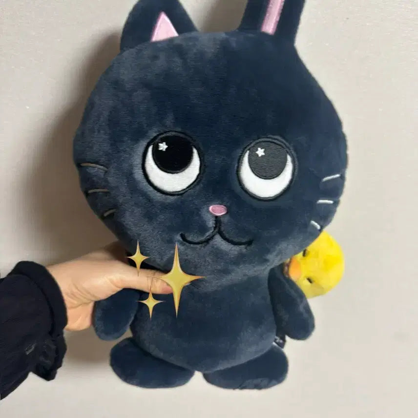 [BUNJANG] RIIZE Wonbin Toy Cat Plush 40cm / RIIZE 원빈 토냥덕 40cm