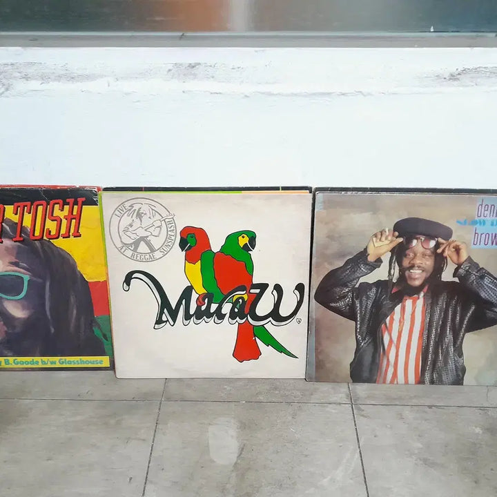 [BUNJANG] Import Reggae LP - 11 Records / 수입  레게 LP--11매