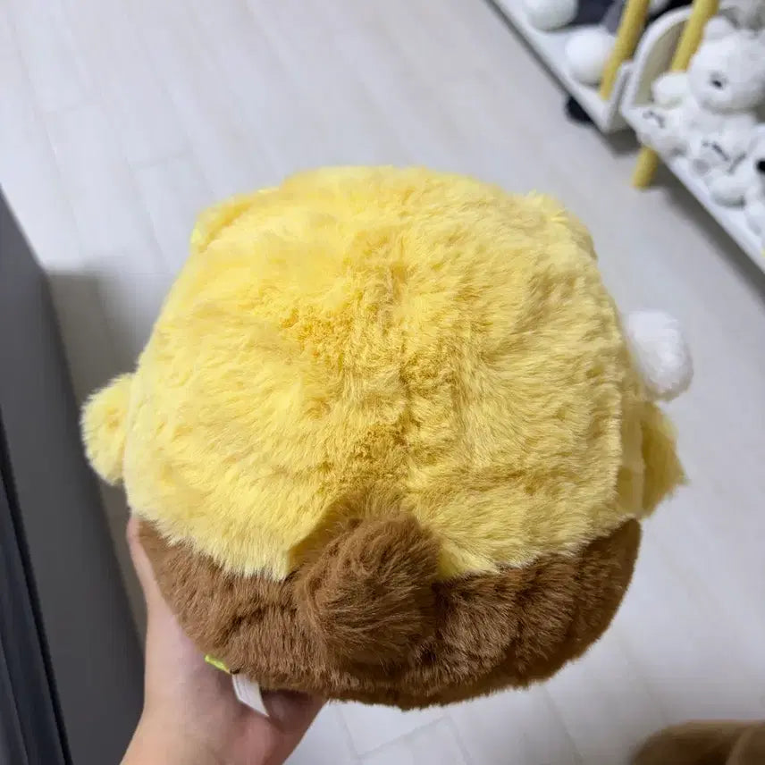 [BUNJANG] Choonsik Doll / 춘식이 인형
