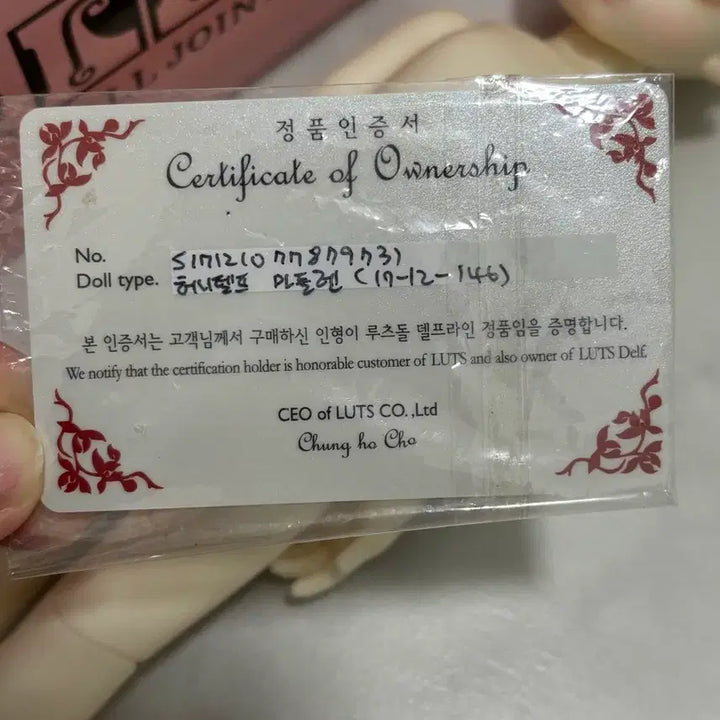 [BUNJANG] Roots Honey Delf Madeleine Doll / 루츠 허니델프 마들렌