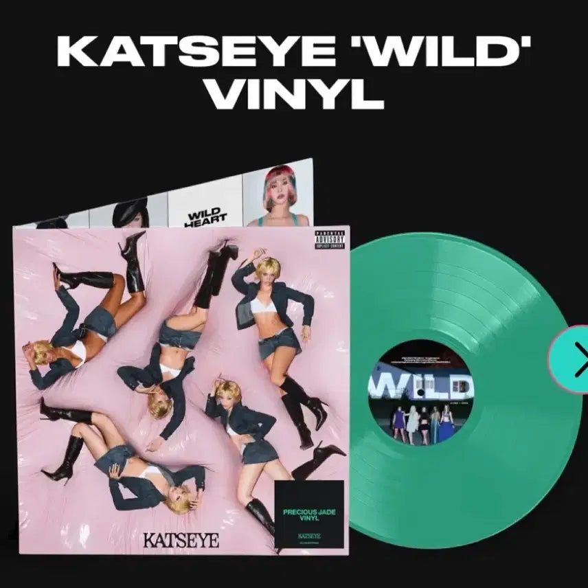 [BUNJANG] Katseye Wild LP Signed Autographed Record / 당일출고,초희귀 개인문구 친필싸인 lp] 캣츠아이 katseye wild lp