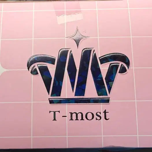 [BUNJANG] Hatsune Miku Taito t-most Figure / [미개봉 택포 3.4] 하츠네 미쿠 타이토 t-most 티모스트 피규어 tmost