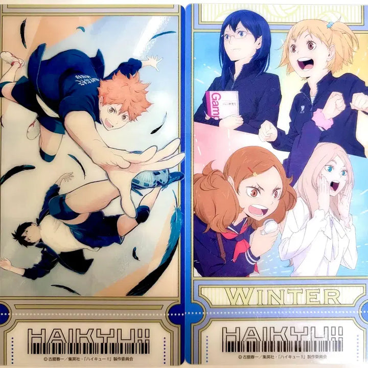 [BUNJANG] Haikyu!! Visual Clear Ticket Summer/Winter Bundle Set / [일괄] 하이큐 비주얼 클리어 티켓 여름 겨울 히나타 카게야마 야치 키요코 카라스노 6종 세트 시라토리자와 아오바죠사이 다테공