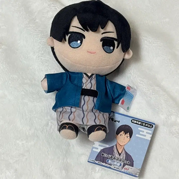 [BUNJANG] Haikyuu!! JR Collaboration Kageyama Plush Doll / 하이큐 JR 콜라보 인형 누이 봉제인형 카게야마